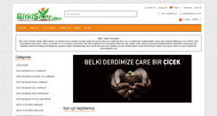 Desktop Screenshot of bitkisever.com