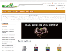 Tablet Screenshot of bitkisever.com